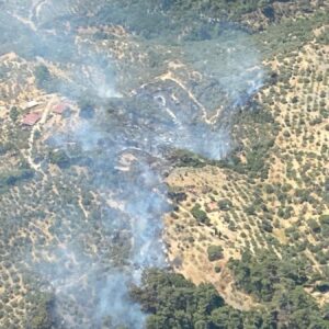 aydin germencikte yangin cikti JGCjuunD