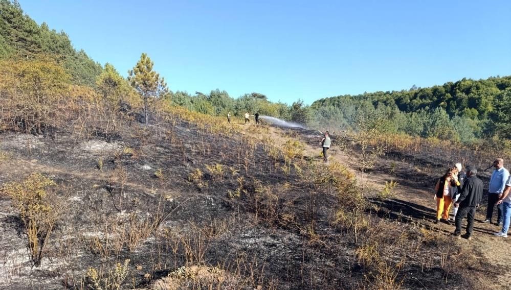 bilecikte orman yangini panigi A4w8T2iX