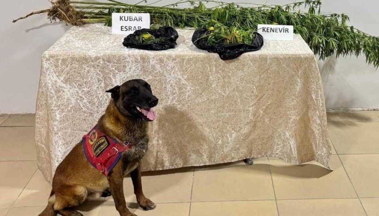 elazigda uyusturucu operasyonu 1 supheli yakalandi it11LlDF