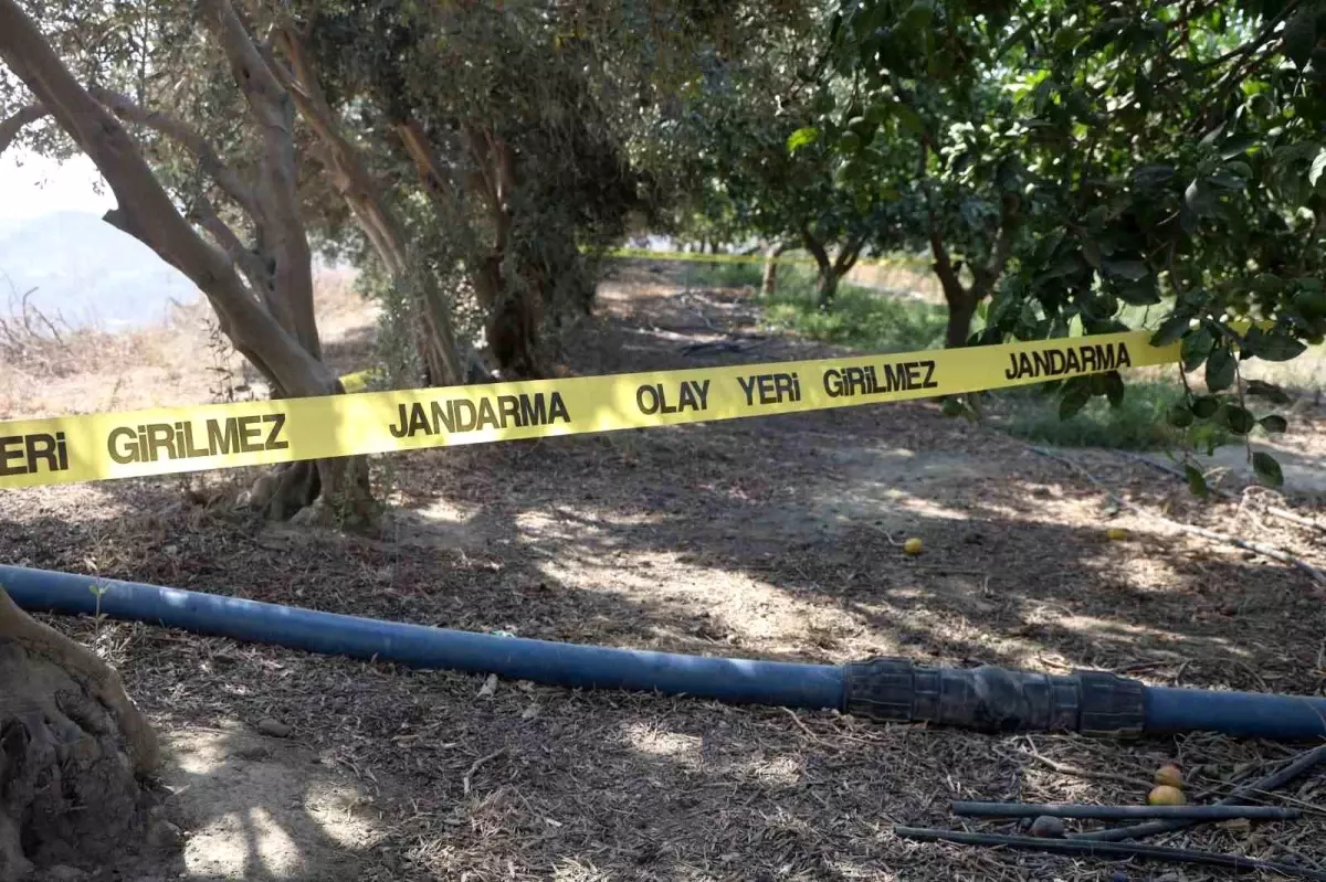 hatayda katil pamuk ile yakalandi SXHrs7JA