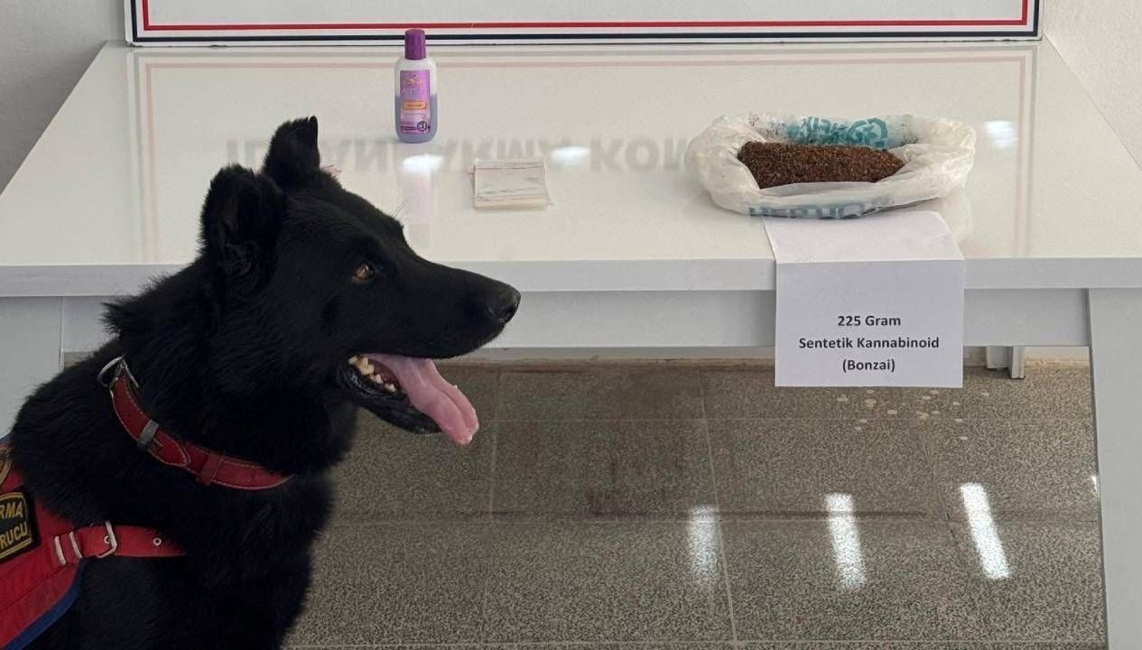 musta uyusturucu operasyonu 2 gozalti fi1n5TRj