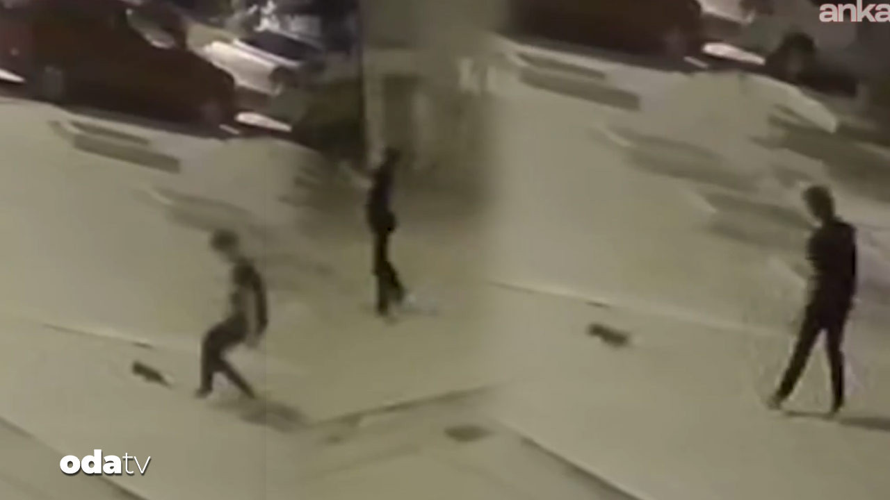 yavru kediyi firlatarak oldurdu wkXcNFFL