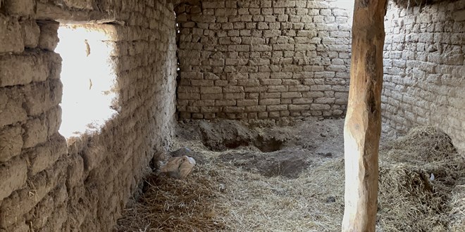 14 yillik kayip cinayet cozuldu kardesi oldurup gommus TUv1HnBs.jpg