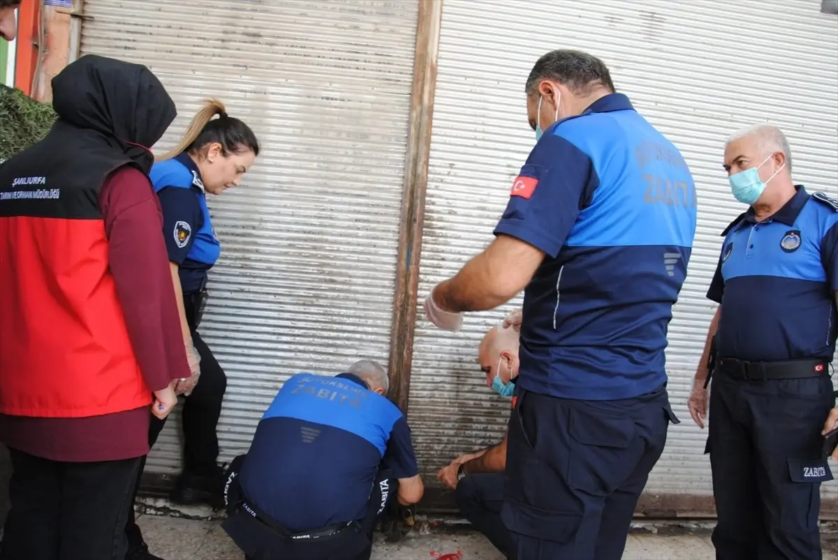 sanliurfada 1 ton bozulmus et ele gecirildi TTbeNI6s.jpg