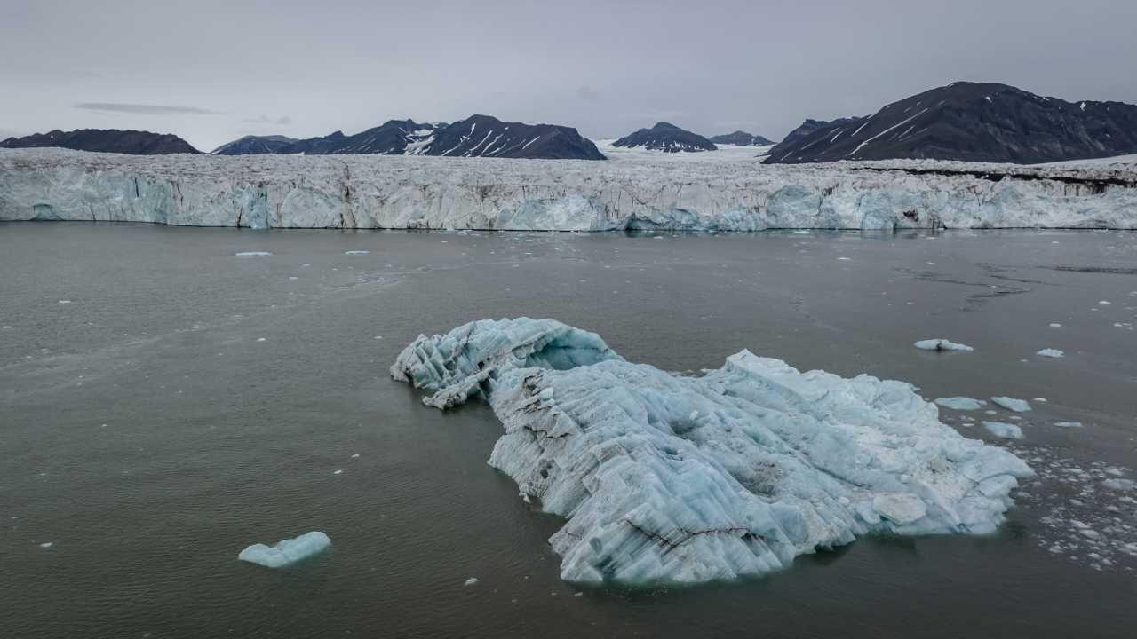 baliklarin yaptigi geometrik desenler kesfedildi 9rLJyDjk.webp