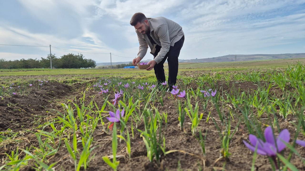 bir cicekten 3 tel cikiyor kilosu 600 bin lira LAhkg1u1.jpg