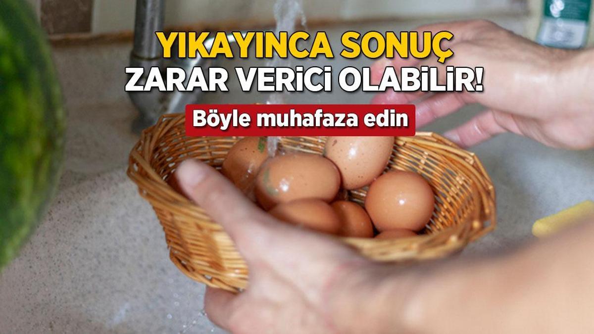 yikayinca sonuc salmonella bakterisi yumurtayi boyle muhafaza etmek sart SvszMIpT.jpg