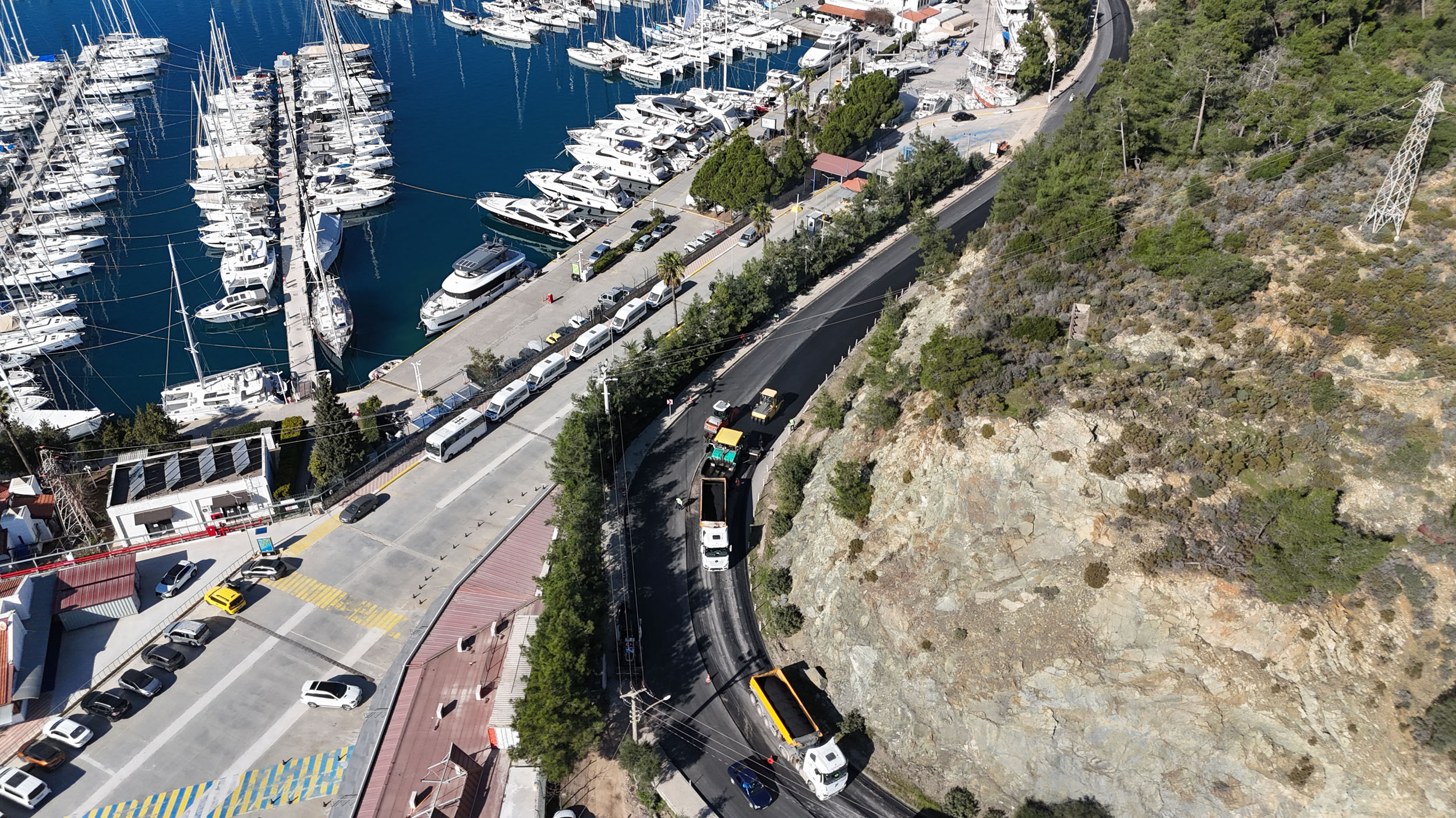 Tesis Yenileme Görseli