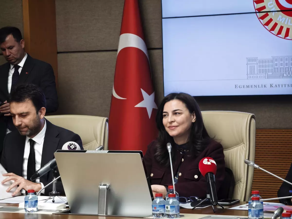 TBMM’de Suça Sürüklenen Çocuklar İçin Araştırma Komisyonu Toplandı