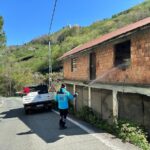 kahverengi-kokarca-ile-mucadele-sureci-hlMlndxc