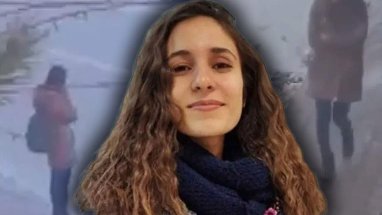 Gulistan doku sorusturmasinda yeni tutuklamalar bilisim sirketi sahibi tutuklandi jmhRCbKu